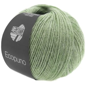 EcoPuno