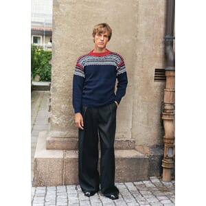 2510 Nr. 4 - Marius genser